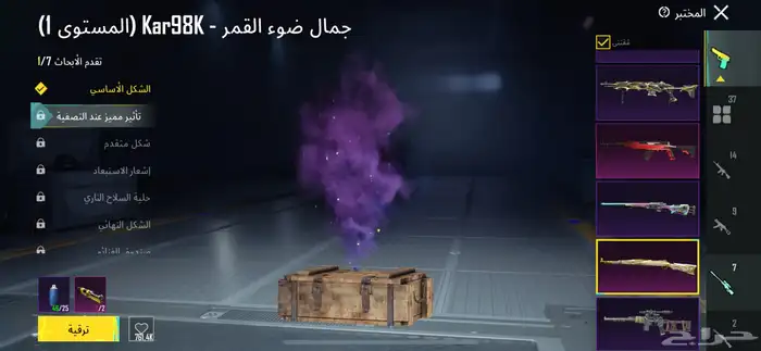 حساب ببجي 17