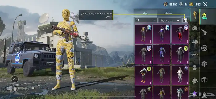 حساب ببجي للبيع أو للبدل بحساب مناسب 6