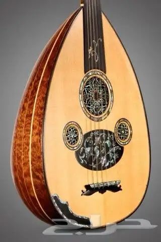 تعليم عزف عود اورق غناء 0