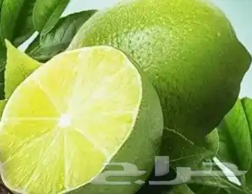شتلات زينه وظل وجمال 24