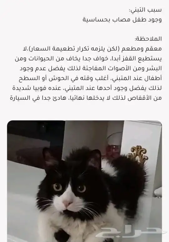 كل شي موضح بالصوره 0