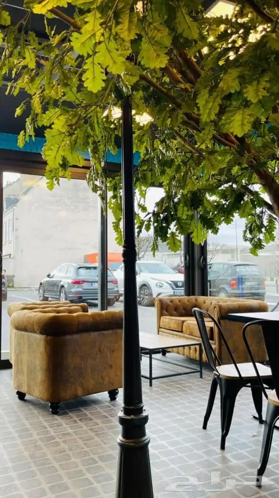 درايف ثرو مشروع (علامة تجارية) فرنشايز 7