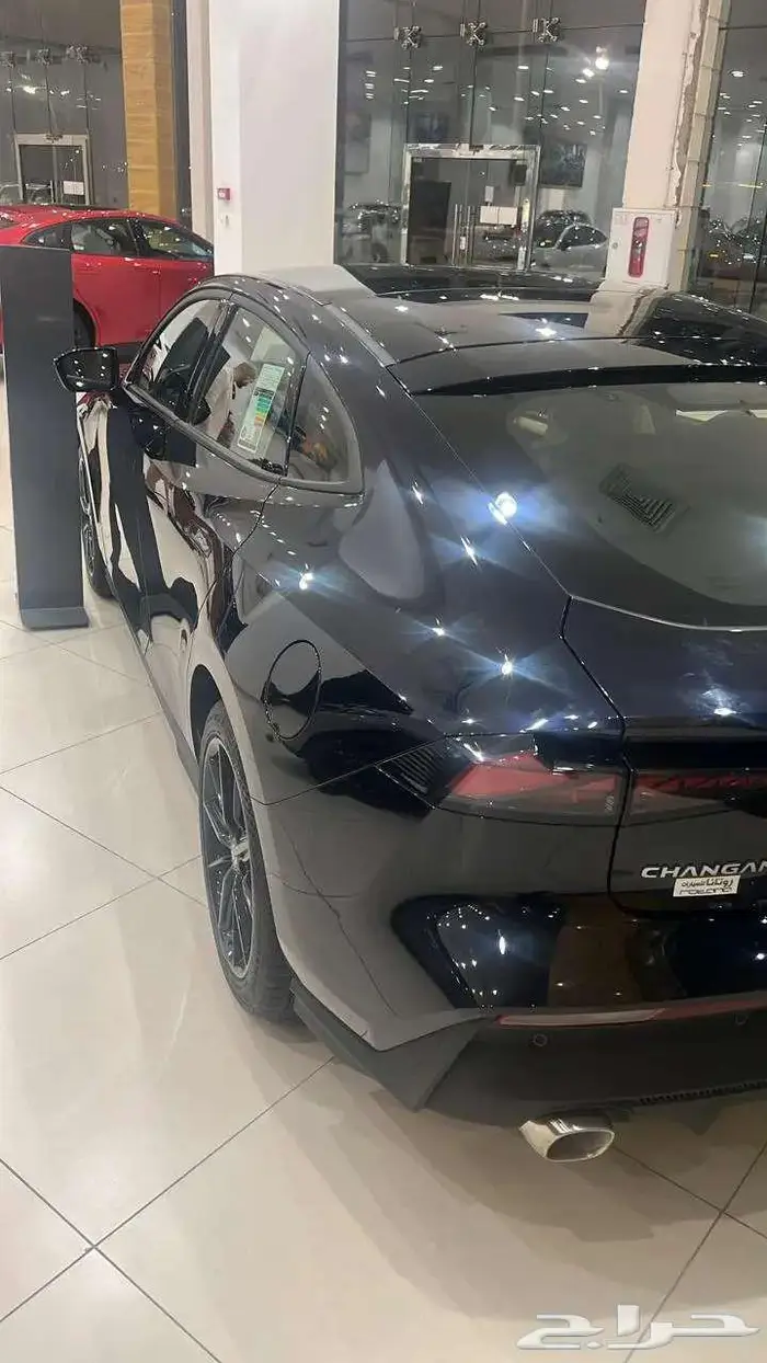 شانجان يوني في أليت 2026 4