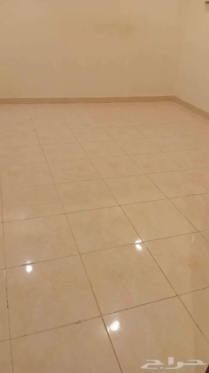 شقه عزاب غرفه حمام سعر 700 تواصل واتس 0