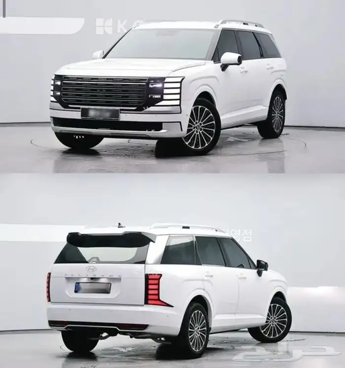 بلاسيد 2025 0