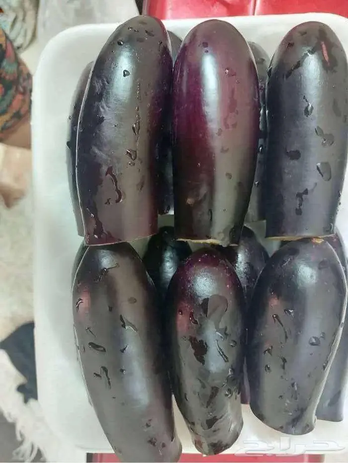 وجبات واكل مصري بيتي 11