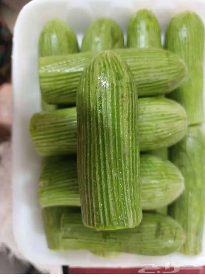 وجبات واكل مصري بيتي 1