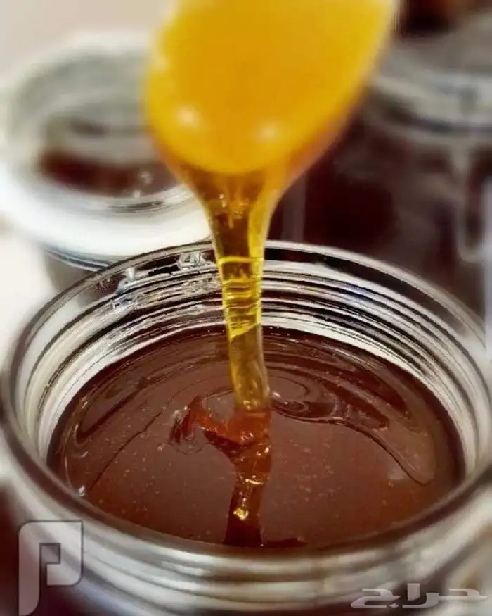 عسل سدر جبلي 6