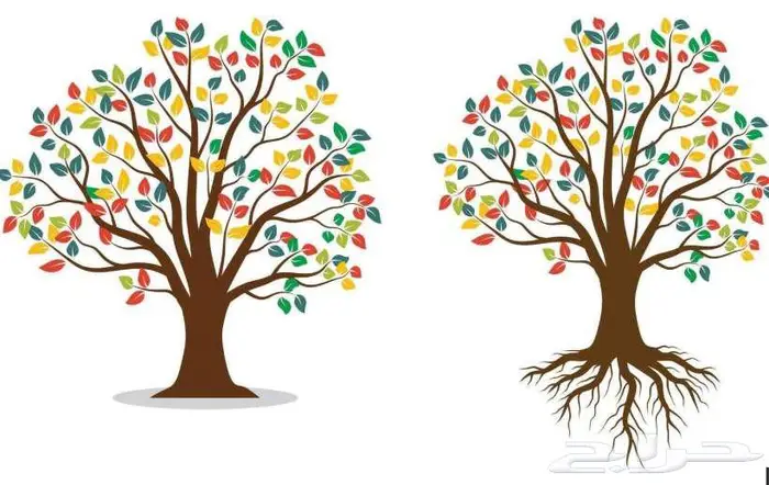 تصميم شجرة العائلة بثيمات حديثه مودرن 1