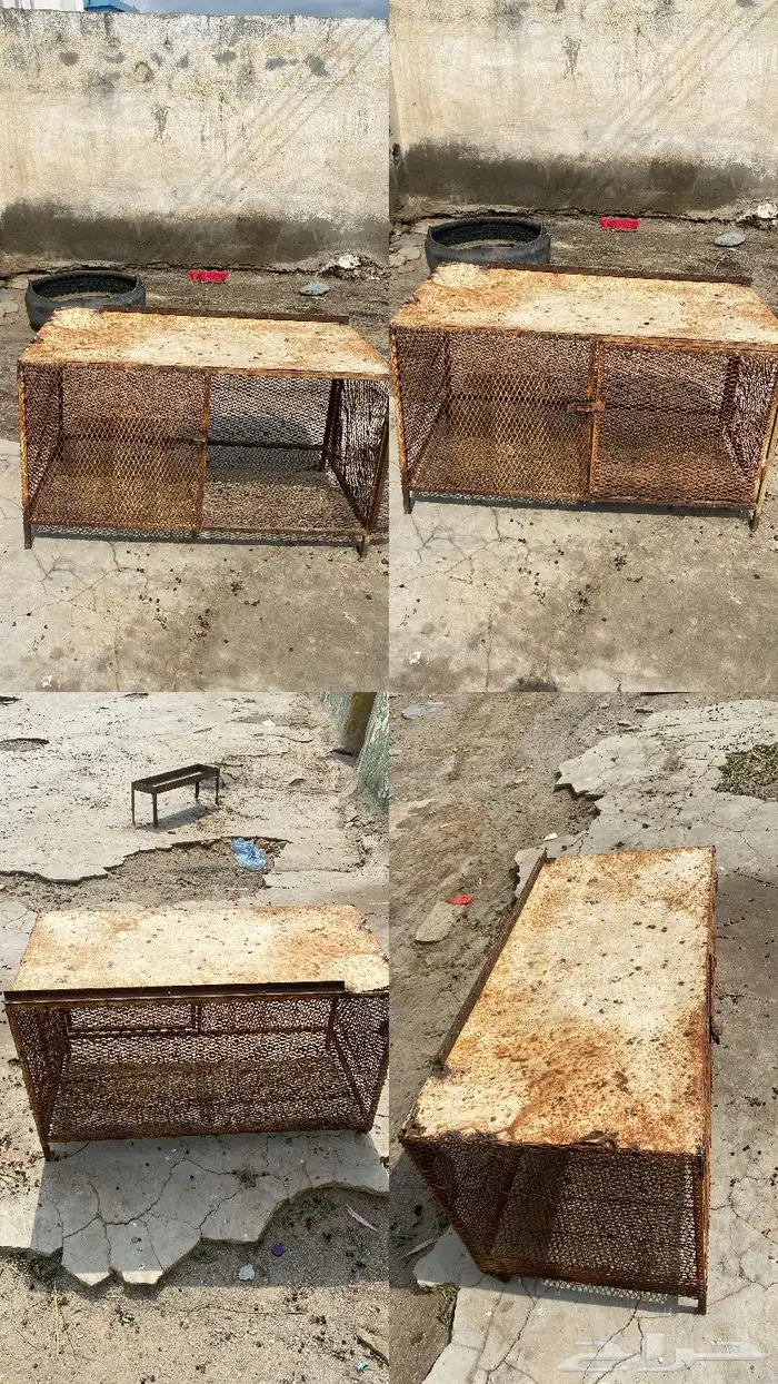 شبك صندوق 0