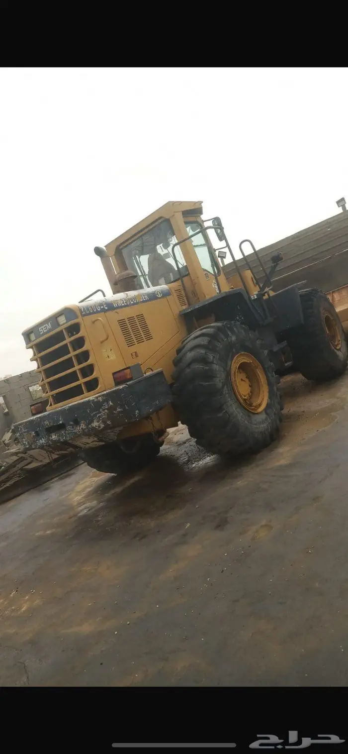 شيول صيني sEM 1