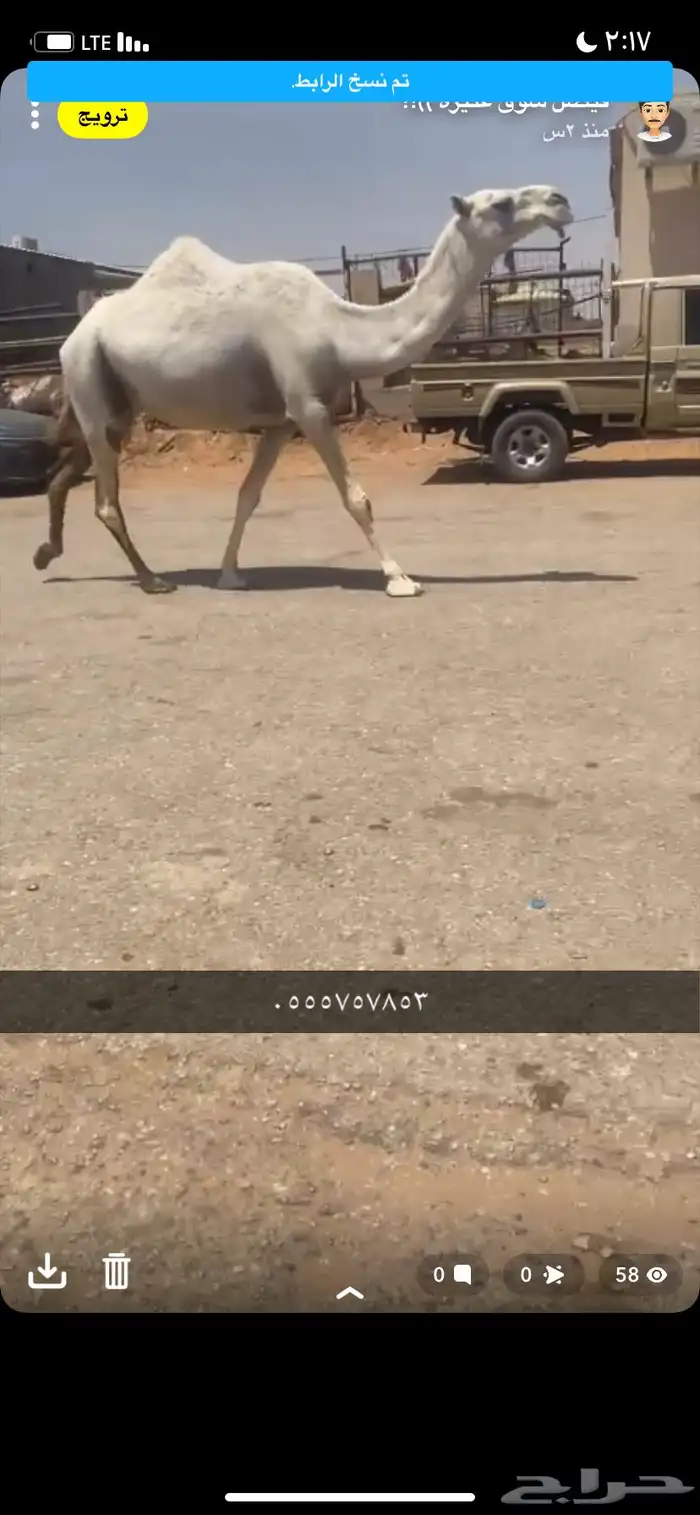 للبيع الخفوت الي ميت ولده 2