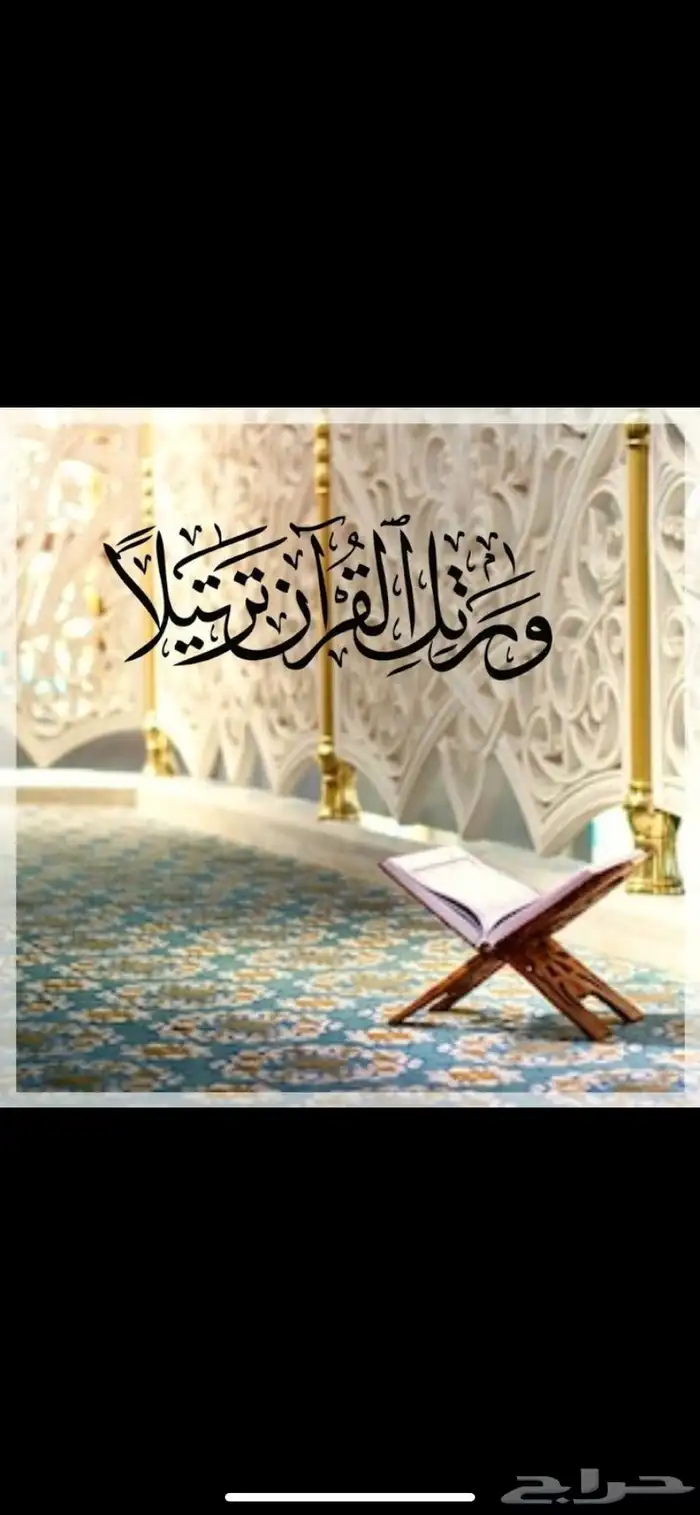 معلمه قران عن بعد للنساء والاطفال (8)حلقات(50)ريال فقط 0