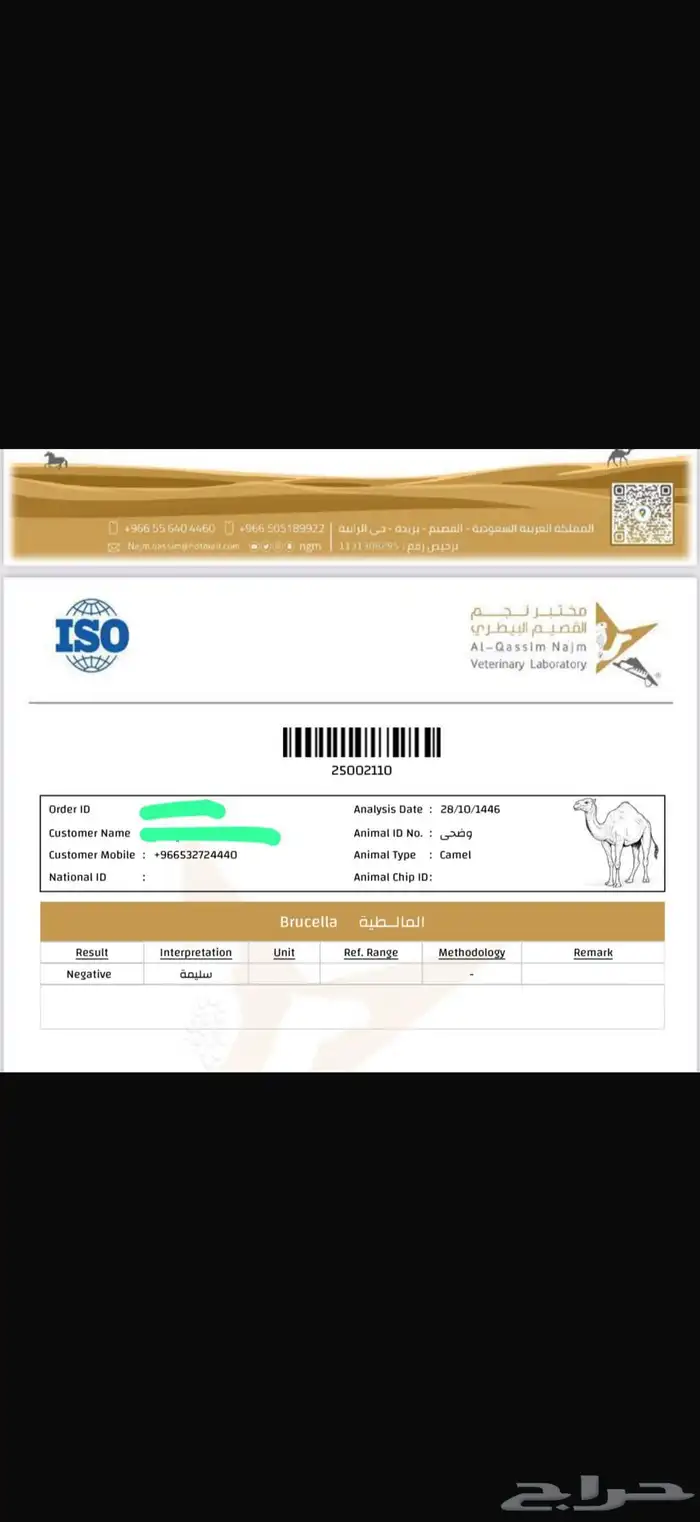 خلفه وضحا 1