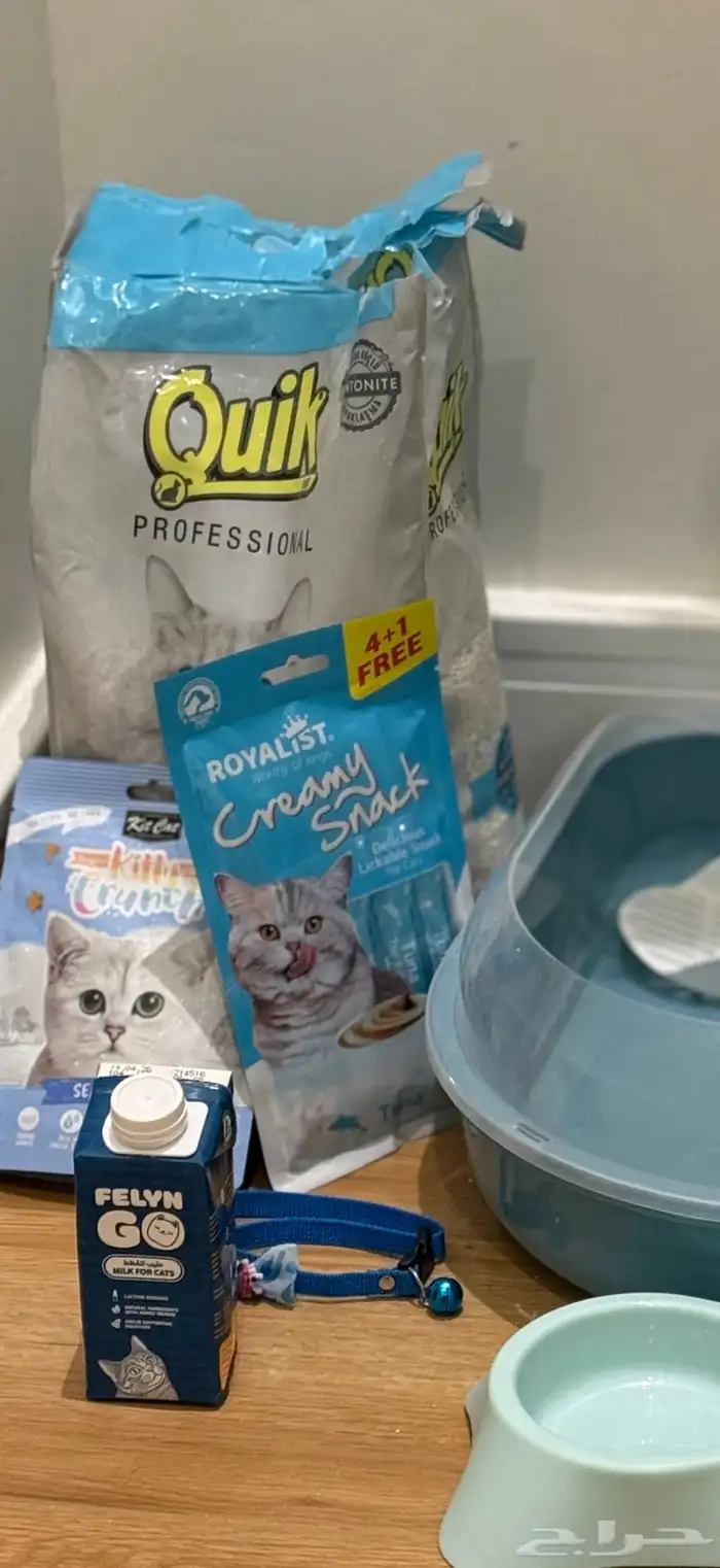 قط هاف بيكي 6