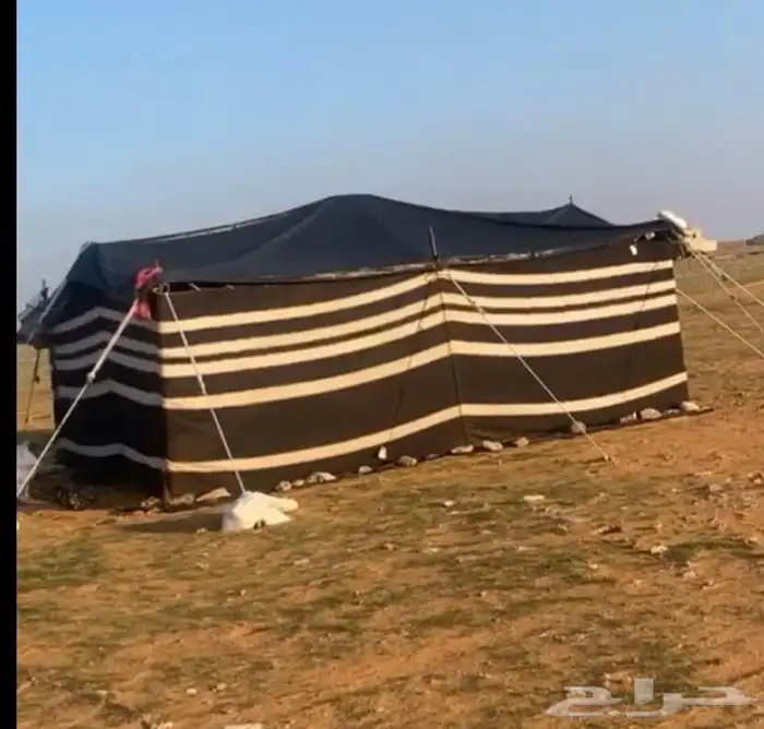 للبيع خيمة عمود وبيت جديد 1