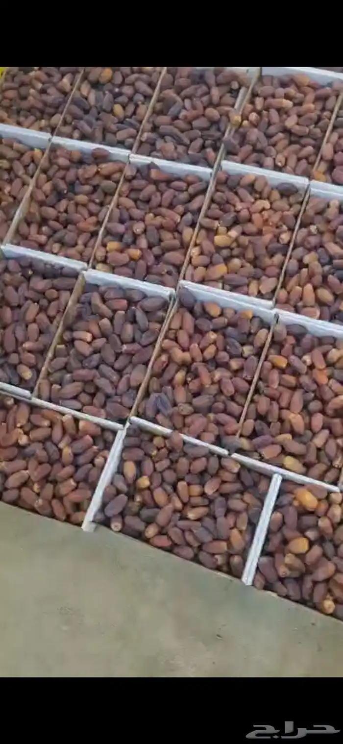 تمر مجدولي 30 طن 0