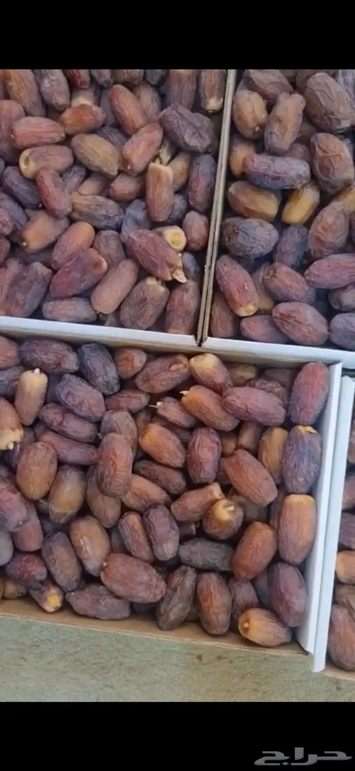 تمر مجدولي 30 طن 1