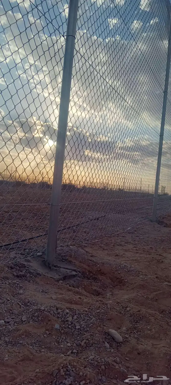 مقاول شبوك مضلات 4