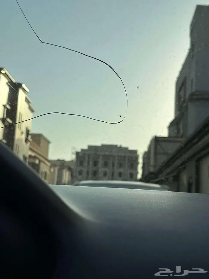 دودج نيون 2019 11