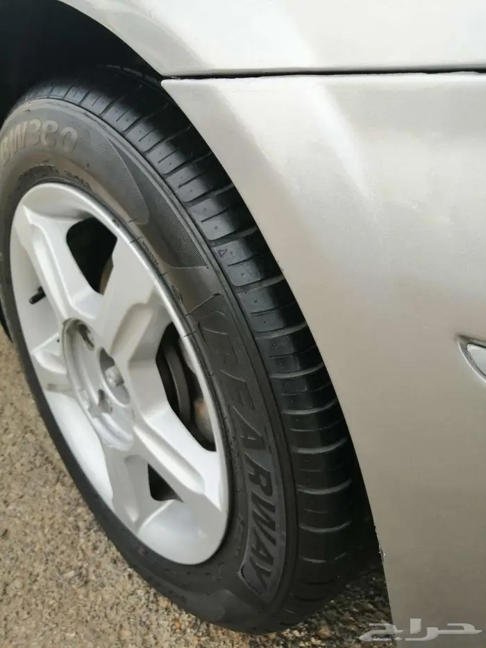 الرياض   ظهره لبن 11