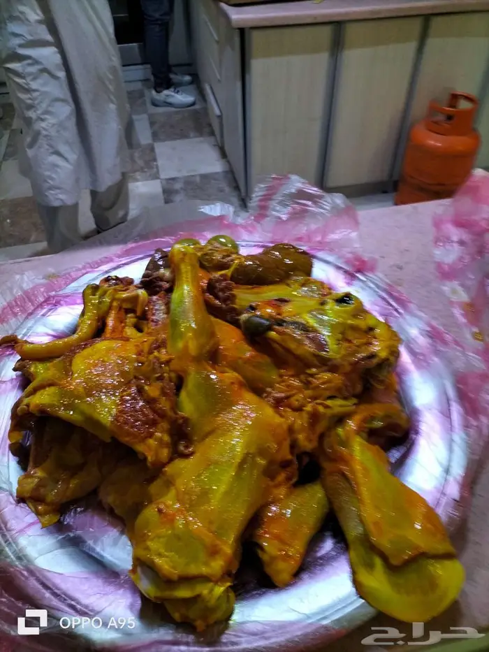 اغنام سواكن حمر 1