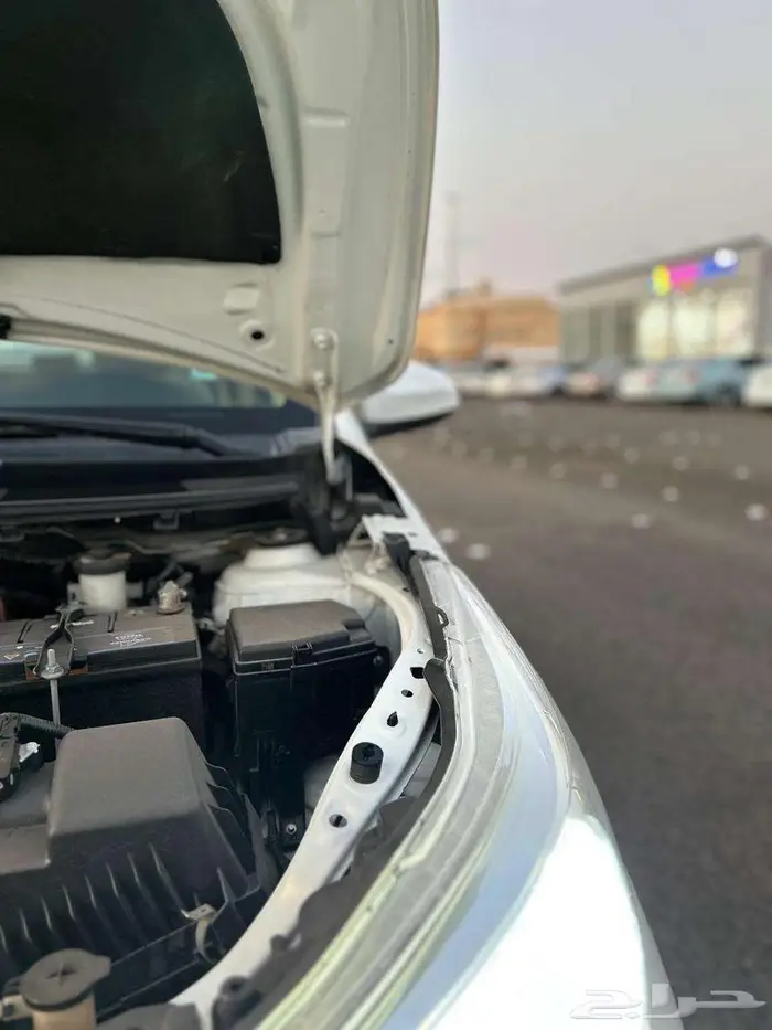 يارس 2019 11