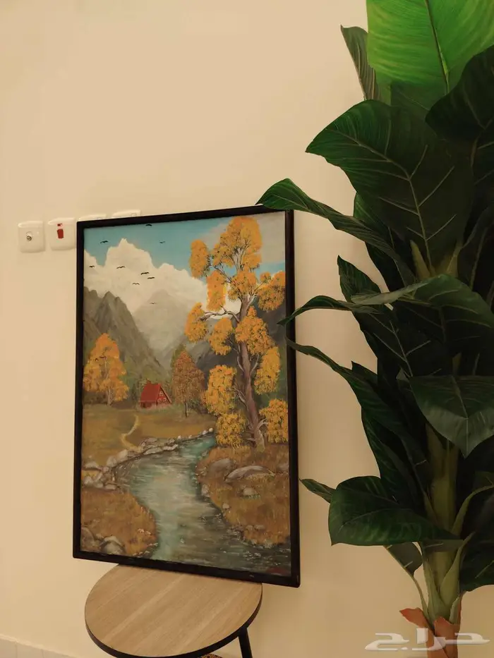 لوحات رسم نادره على السوم 0