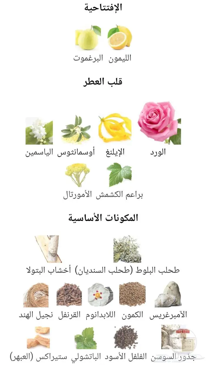 عطر روجا نوا 5