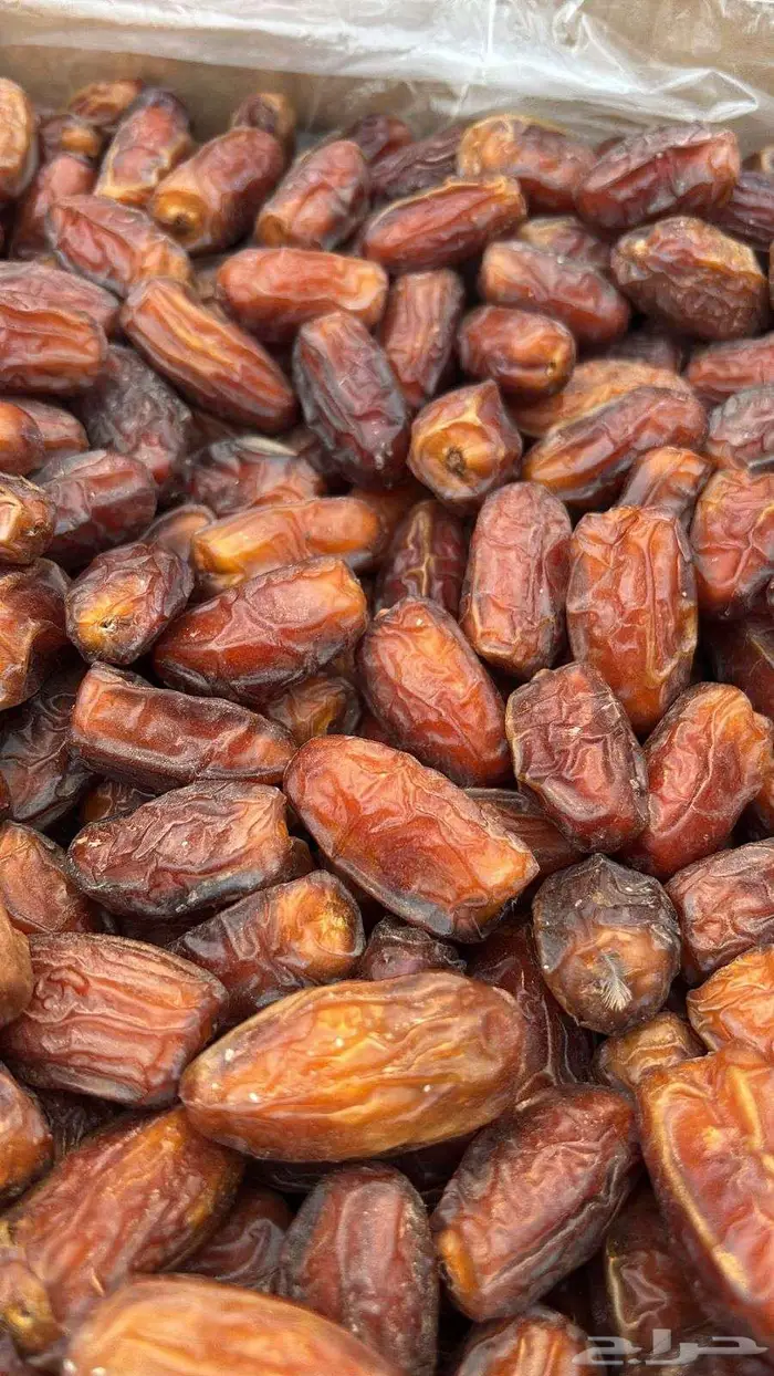 صفري بيشة فاخر 1