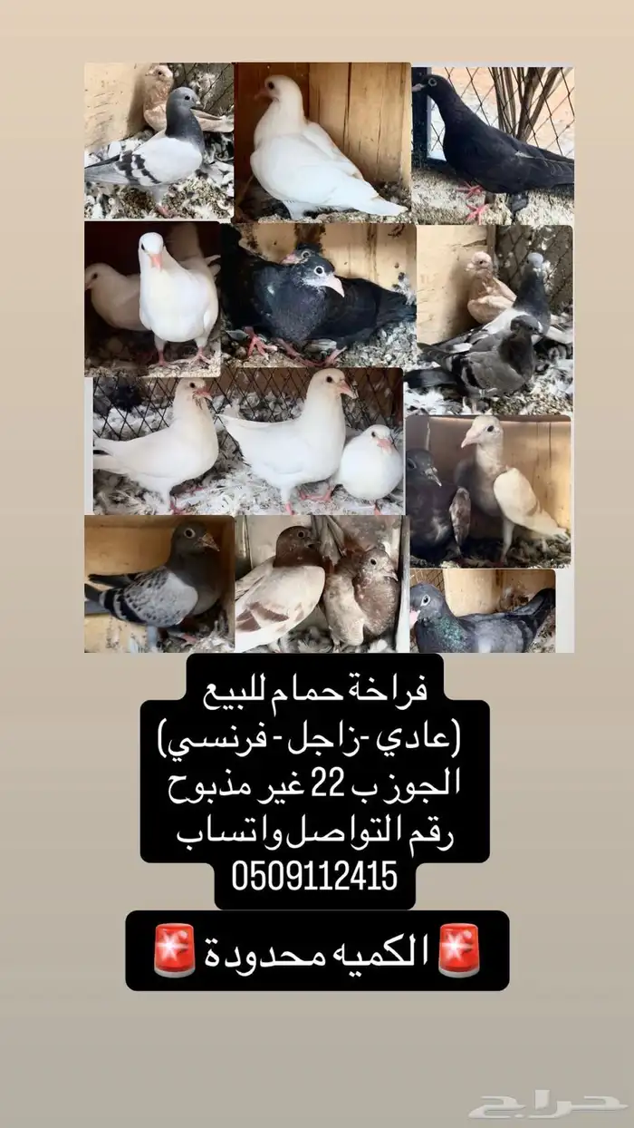 فراخه 0