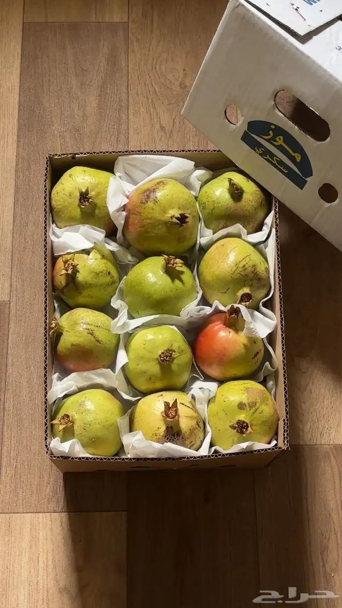 رمان بلدي طايفي 4