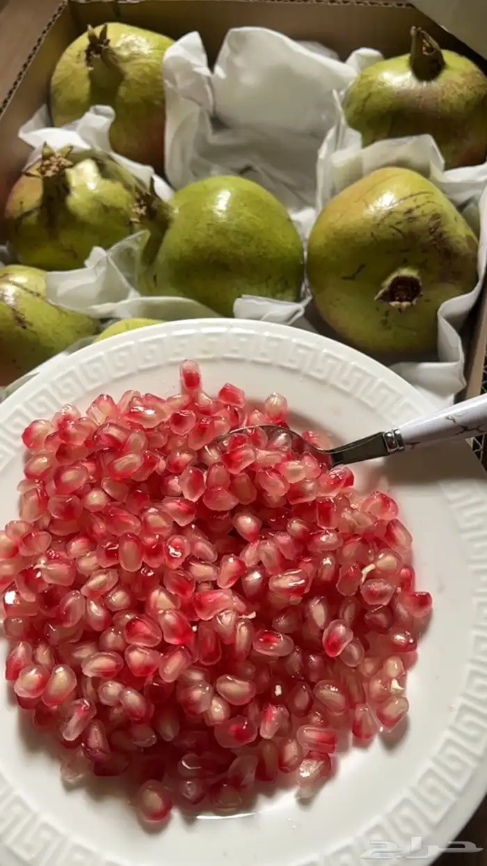 رمان بلدي طايفي 3