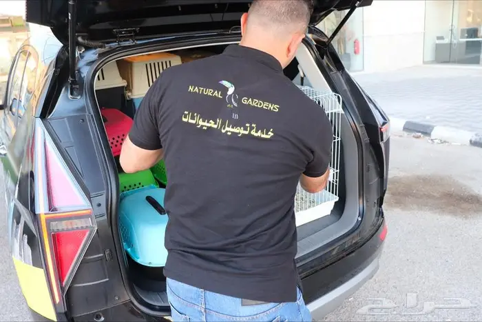 اكيتا امريكي زوج مستوردين 7
