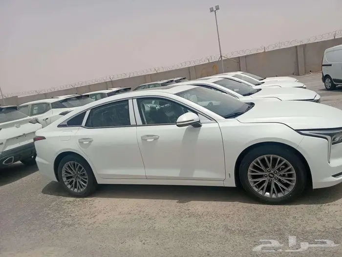 فاو بيستون B70 كومفورت 2025 اصفار 6