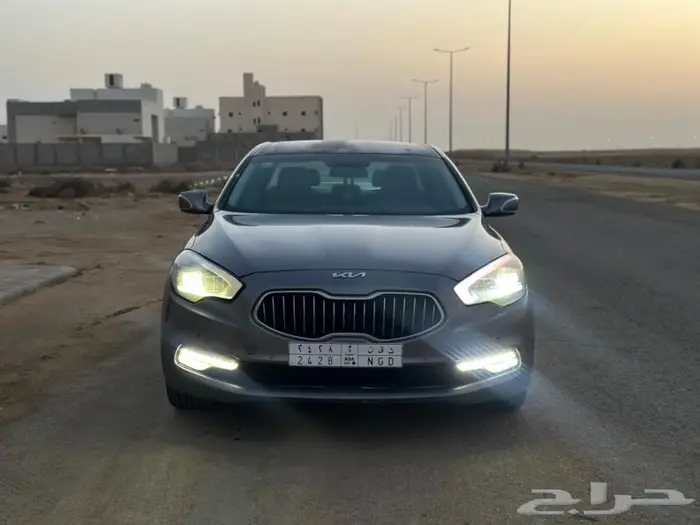 كوريس 2013 10
