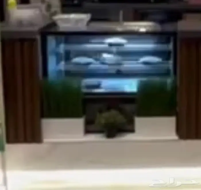 ثلاجة عرض 3