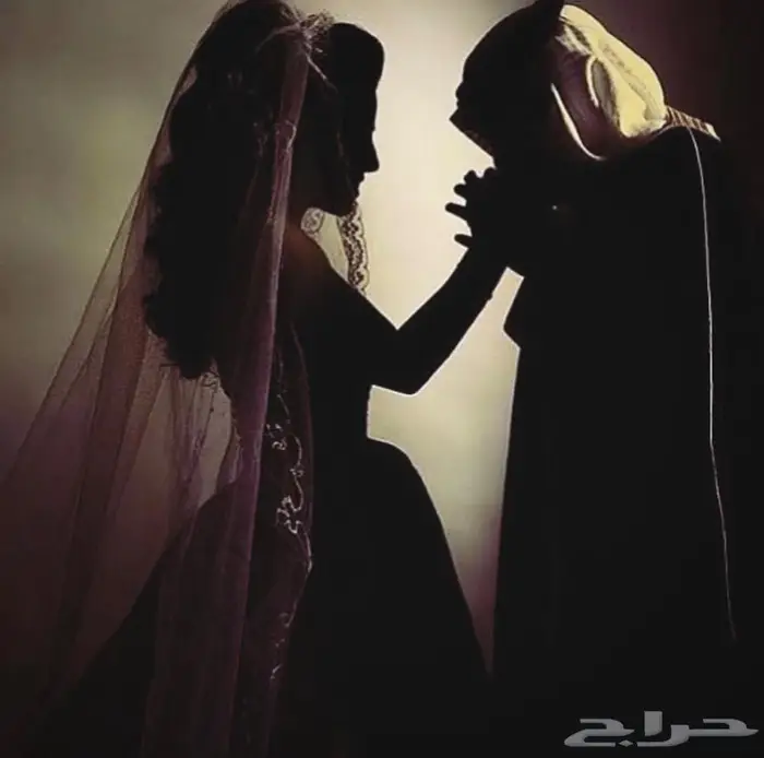 مصوره المجمعه 2