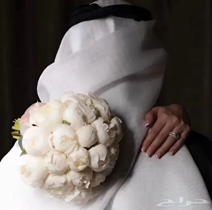 مصوره المجمعه 3