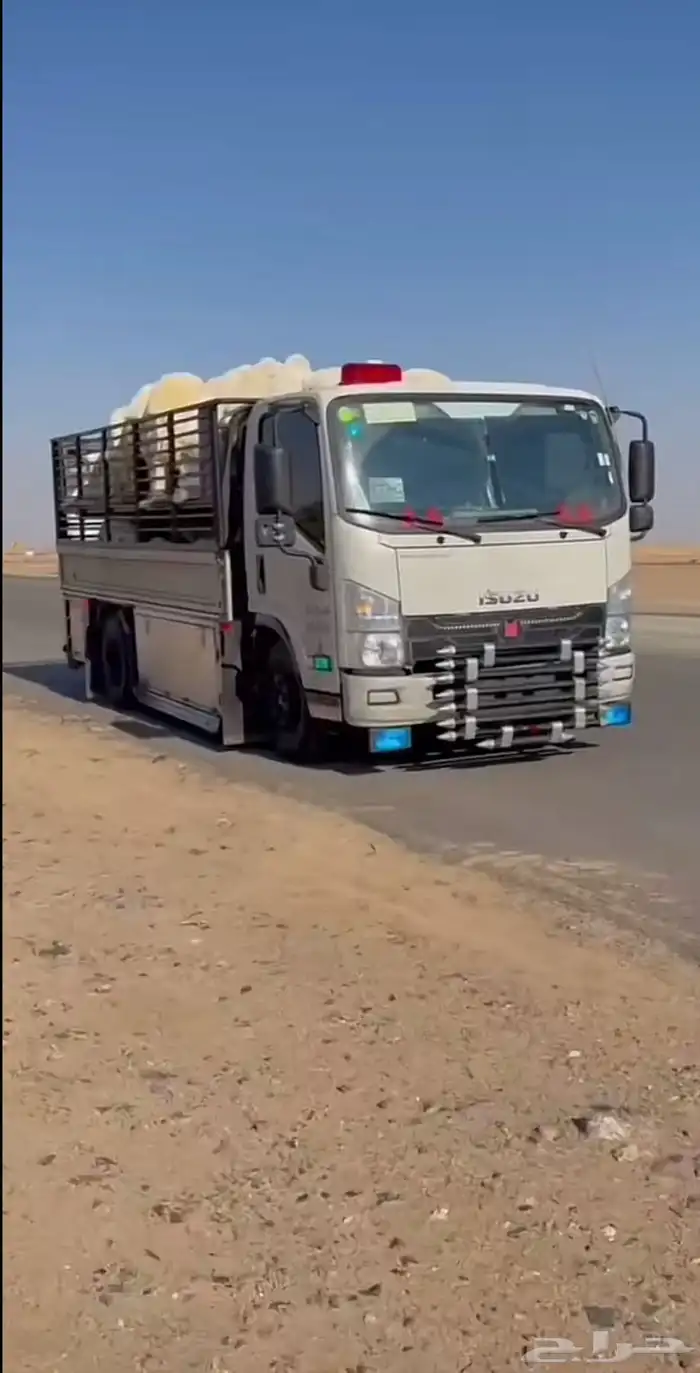 دينه لنقل خارج الرياض وداخله 0