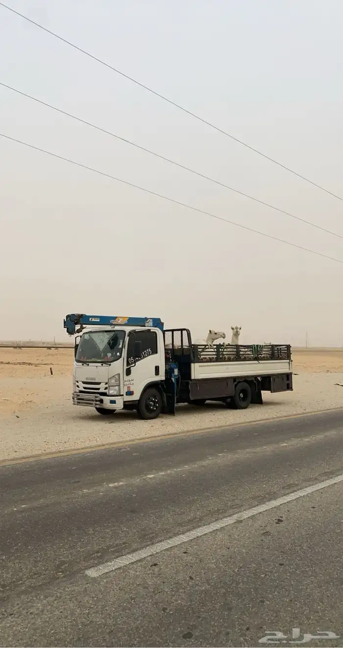 دنه ونش 0