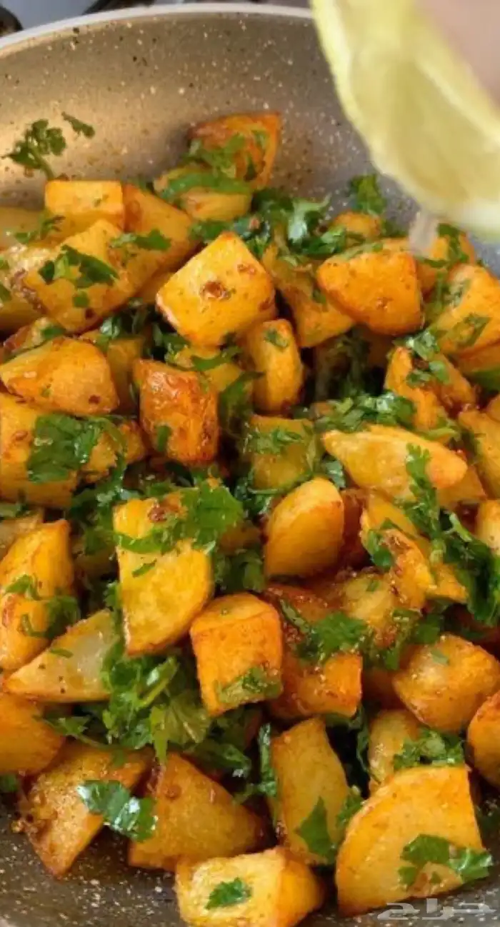طبخات لذيذة وشهية 8