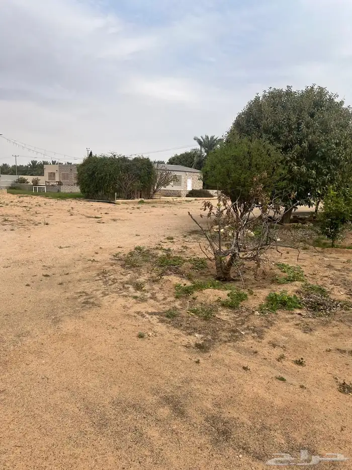 للبيع مزرعه عيون الجواء القصيم 11