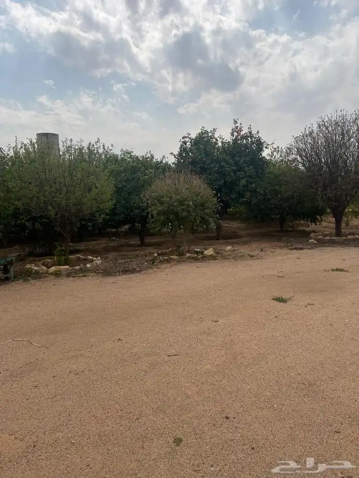 للبيع مزرعه عيون الجواء القصيم 2