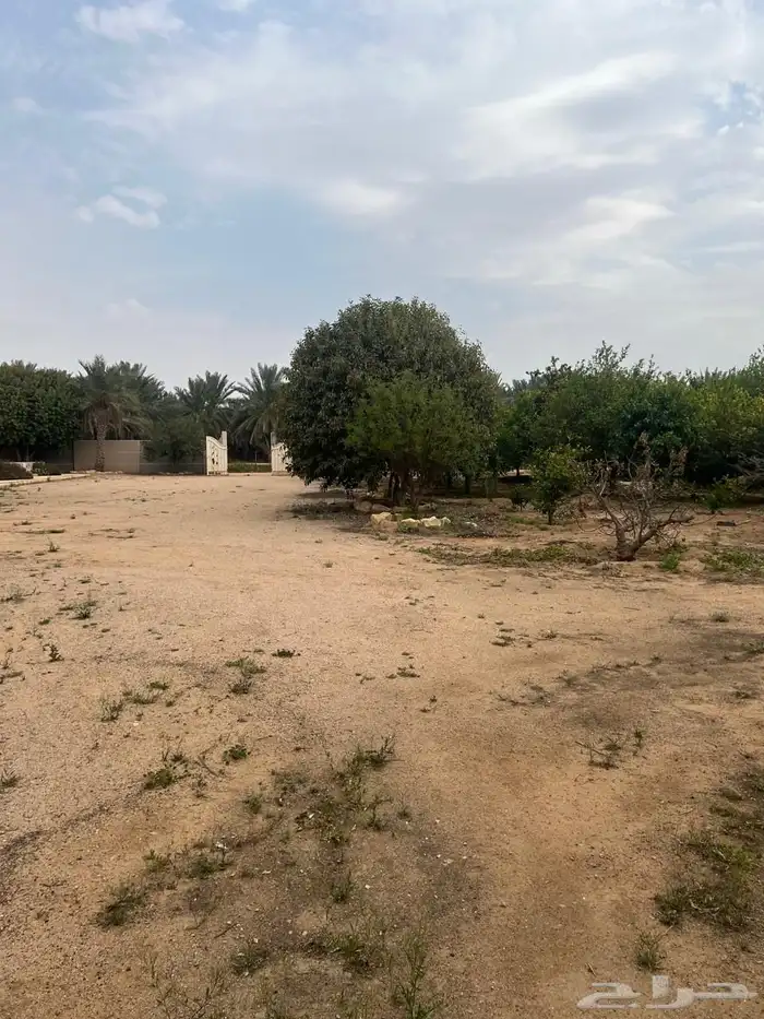 للبيع مزرعه عيون الجواء القصيم 8