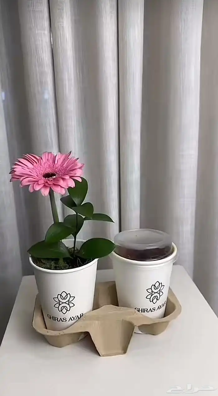 قهوة وورد 1