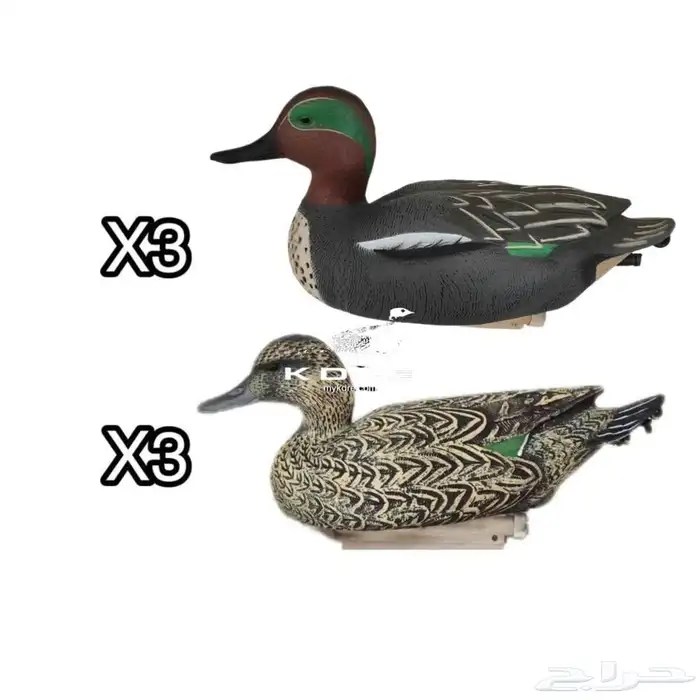 مجسمات بط 0