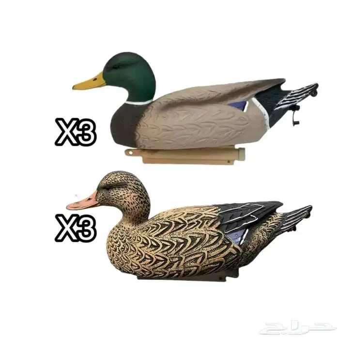 مجسمات بط 1