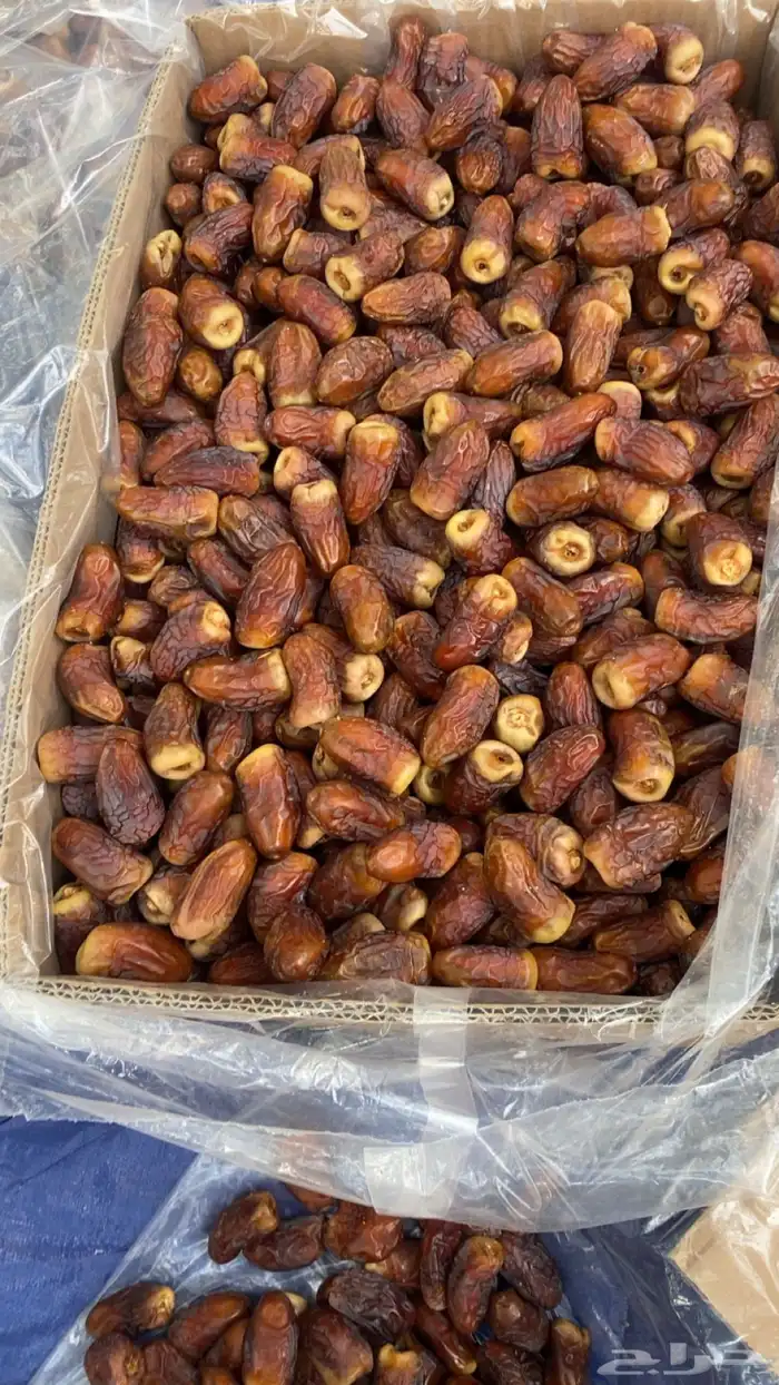 تمور الفرع 0