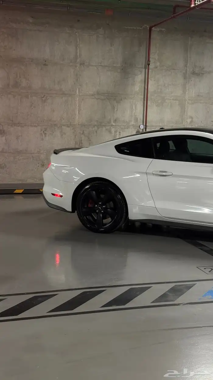 للبيع موستنق بريميوم GT 5 0 2018 4